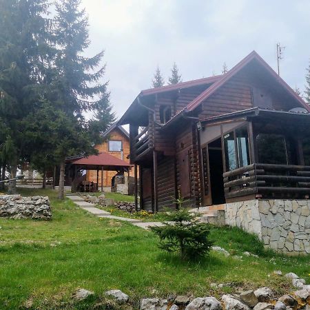 Brvnare Krstigora Villa Zaovine Kültér fotó
