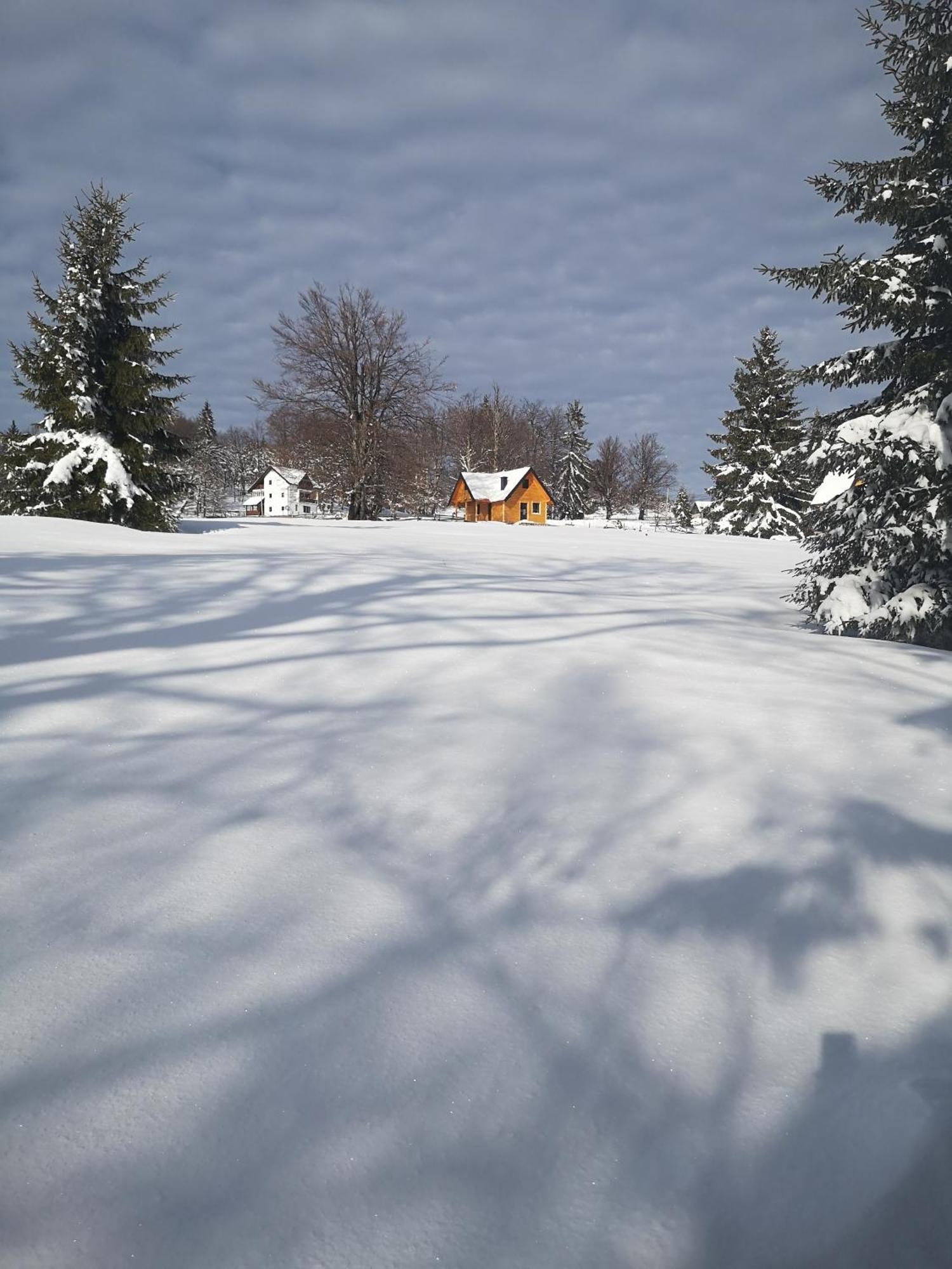 Brvnare Krstigora Villa Zaovine Szoba fotó