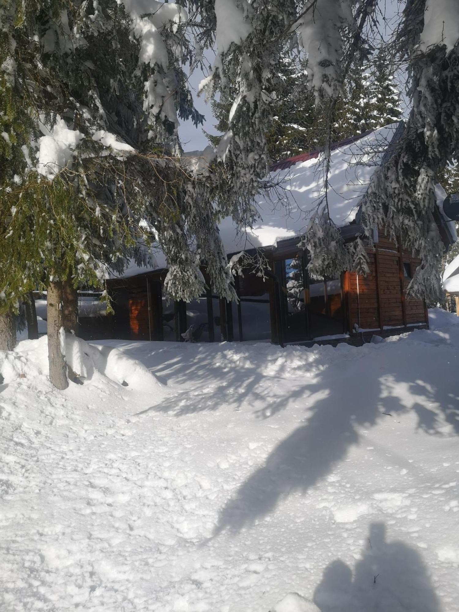 Brvnare Krstigora Villa Zaovine Szoba fotó