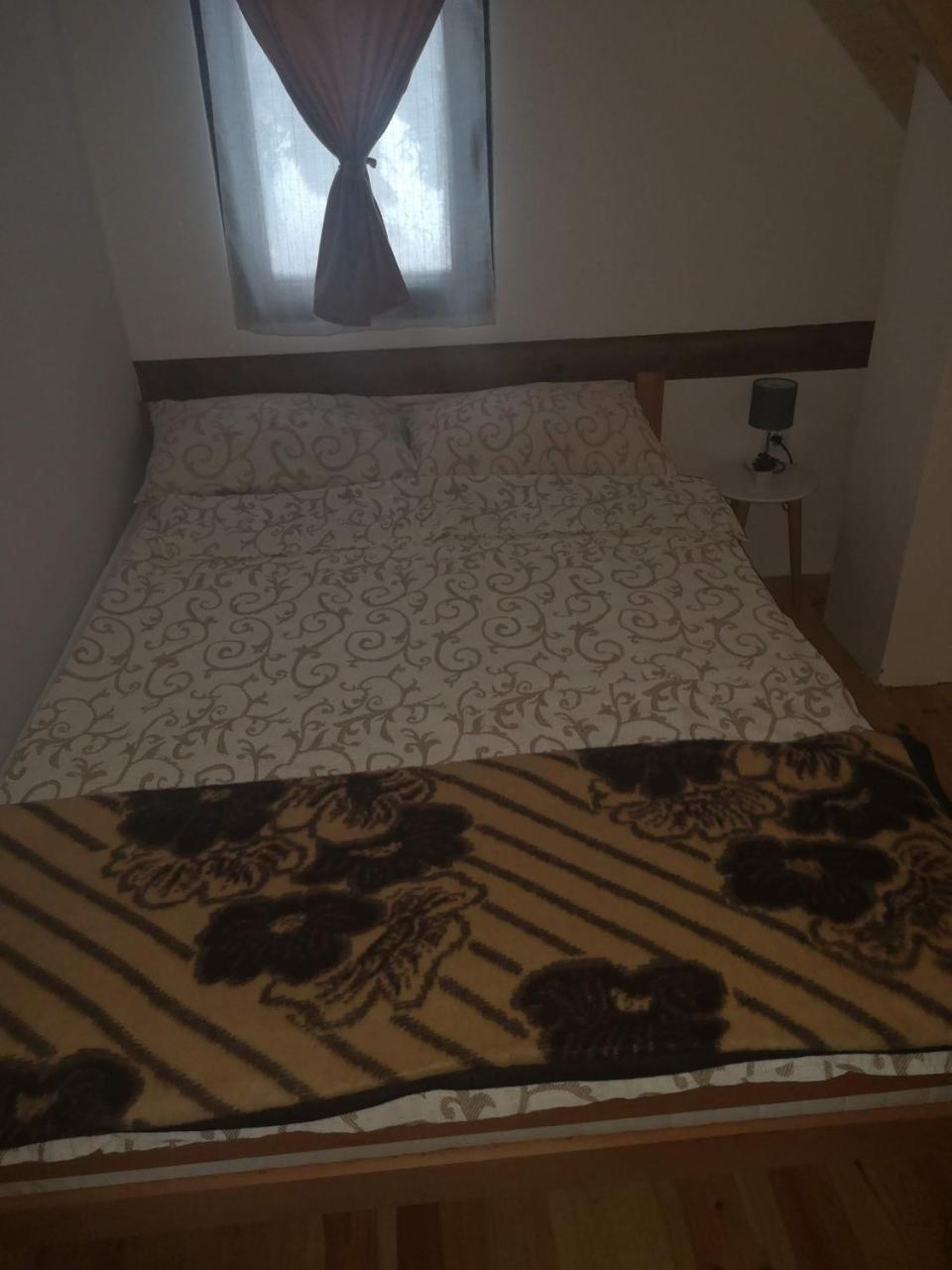 Brvnare Krstigora Villa Zaovine Kültér fotó