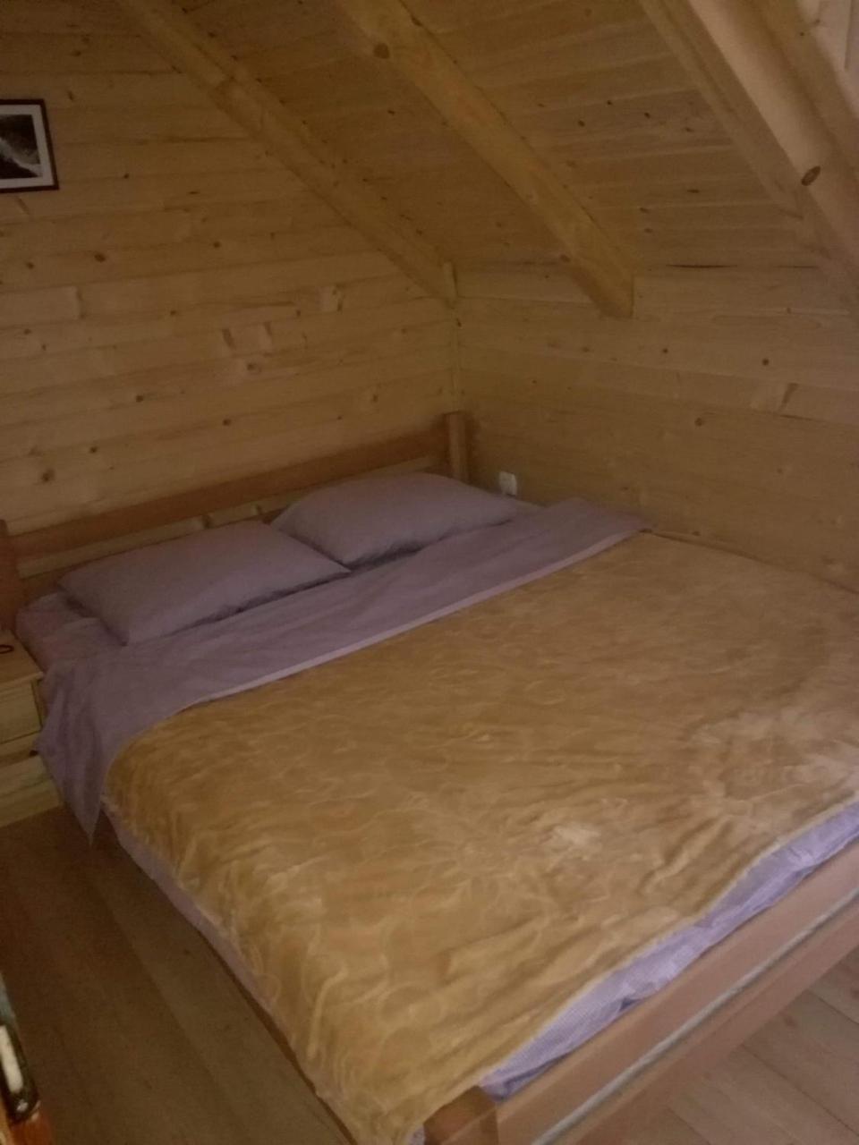 Brvnare Krstigora Villa Zaovine Kültér fotó