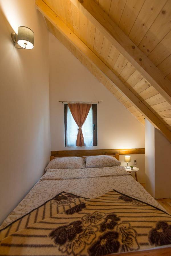 Brvnare Krstigora Villa Zaovine Kültér fotó