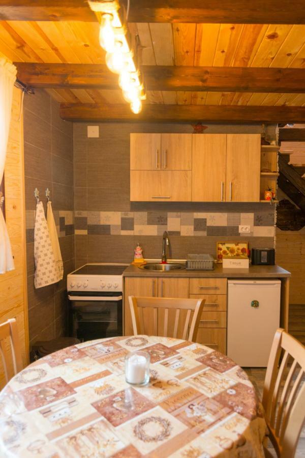 Brvnare Krstigora Villa Zaovine Kültér fotó